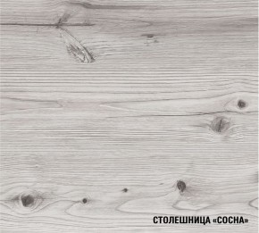 АСАЯ Кухонный гарнитур Экстра 2 (3000 мм) ПМ в Губкинском - gubkinskiy.ok-mebel.com | фото 8