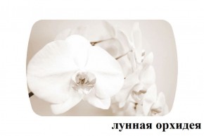 БОСТОН - 3 Стол раздвижной Лунная орхидея 1100/1420 опоры Триумф в Губкинском - gubkinskiy.ok-mebel.com | фото 2