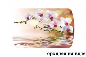 БОСТОН - 3 Стол раздвижной Орхидея на воде 1100/1420 опоры Триумф в Губкинском - gubkinskiy.ok-mebel.com | фото 2