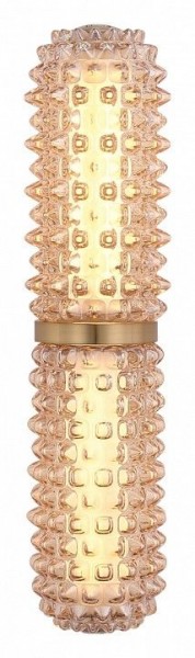 Бра ST-Luce SAGUARO SL6144.301.01 в Губкинском - gubkinskiy.ok-mebel.com | фото 3