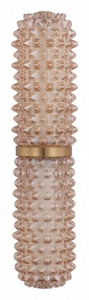 Бра ST-Luce SAGUARO SL6144.301.01 в Губкинском - gubkinskiy.ok-mebel.com | фото 4