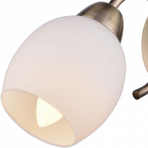 Бра TopLight Merry TL3780B-01AB в Губкинском - gubkinskiy.ok-mebel.com | фото 2