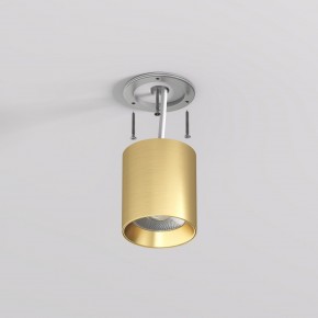 DK2610-SB Накладной светильник SHINE TUBE со светодиодом, D70*H80, IP20, 3000К, 10W, RA?90, сатинированная латунь, алюминий в Губкинском - gubkinskiy.ok-mebel.com | фото 3
