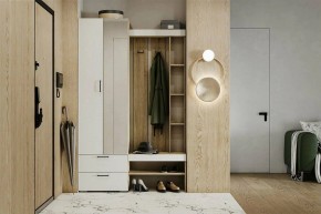 Гарнитур для прихожей Торонто в Губкинском - gubkinskiy.ok-mebel.com | фото 5