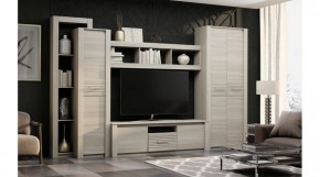 ЭЛИС Гостиная в Губкинском - gubkinskiy.ok-mebel.com | фото 2