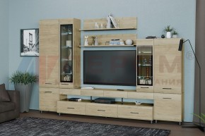 Гостиная Камелия Композиция 3 (Гикори Джексон светлый) в Губкинском - gubkinskiy.ok-mebel.com | фото