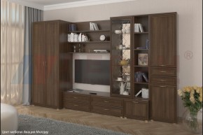 Гостиная Карина Композиция 11 (Акация Молдау) в Губкинском - gubkinskiy.ok-mebel.com | фото