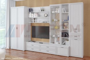 Гостиная Карина Композиция 11 (Снежный ясень) в Губкинском - gubkinskiy.ok-mebel.com | фото