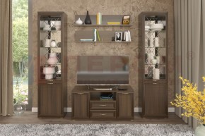 Гостиная Карина Композиция 13 (Акация Молдау) в Губкинском - gubkinskiy.ok-mebel.com | фото