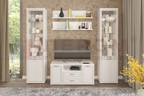 Гостиная Карина Композиция 13 (Снежный ясень) в Губкинском - gubkinskiy.ok-mebel.com | фото