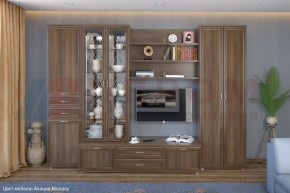 Гостиная Карина Композиция 14 (Акация Молдау) в Губкинском - gubkinskiy.ok-mebel.com | фото