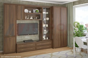 Гостиная Карина Композиция 16 (Акация Молдау) в Губкинском - gubkinskiy.ok-mebel.com | фото