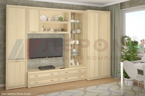 Гостиная Карина Композиция 16 (Ясень Асахи) в Губкинском - gubkinskiy.ok-mebel.com | фото