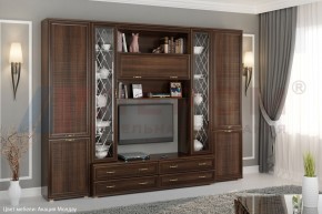 Гостиная Карина Композиция 19 (Акация Молдау) в Губкинском - gubkinskiy.ok-mebel.com | фото 5