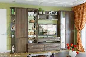 Гостиная Карина Композиция 20 (Акация Молдау) в Губкинском - gubkinskiy.ok-mebel.com | фото