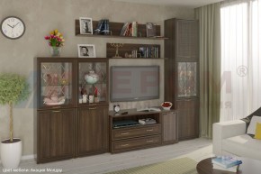 Гостиная Карина Композиция 22 (Акация Молдау) в Губкинском - gubkinskiy.ok-mebel.com | фото