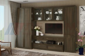 Гостиная Карина Композиция 23 (Акация Молдау) в Губкинском - gubkinskiy.ok-mebel.com | фото