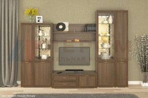 Гостиная Карина Композиция 24 (Акация Молдау) в Губкинском - gubkinskiy.ok-mebel.com | фото