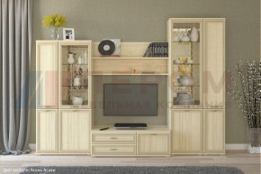 Гостиная Карина Композиция 24 (Ясень Асахи) в Губкинском - gubkinskiy.ok-mebel.com | фото