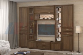 Гостиная Карина Композиция 3 (Акация Молдау) в Губкинском - gubkinskiy.ok-mebel.com | фото