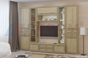 Гостиная Карина Композиция 3 (Гикори Джексон светлый) в Губкинском - gubkinskiy.ok-mebel.com | фото