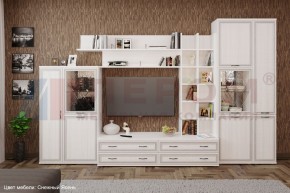 Гостиная Карина Композиция 5 (Снежный ясень) в Губкинском - gubkinskiy.ok-mebel.com | фото