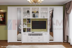 Гостиная Карина Композиция 6 (Снежный ясень) в Губкинском - gubkinskiy.ok-mebel.com | фото