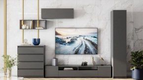 Комод Сибити в Губкинском - gubkinskiy.ok-mebel.com | фото 5
