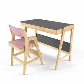 Комплект растущий стол и стул с чехлом 38 попугаев «Вуди» (Серый, Береза, Розовый) в Губкинском - gubkinskiy.ok-mebel.com | фото