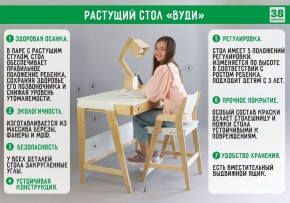 Комплект растущий стол и стул с чехлом 38 попугаев «Вуди» (Серый, Береза, Салют) в Губкинском - gubkinskiy.ok-mebel.com | фото