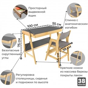 Комплект растущий стол и стул с чехлом 38 попугаев «Вуди» (Серый, Береза, Серый) в Губкинском - gubkinskiy.ok-mebel.com | фото