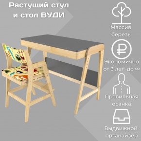 Комплект растущий стол и стул с чехлом 38 попугаев «Вуди» (Серый, Без покрытия, Монстры) в Губкинском - gubkinskiy.ok-mebel.com | фото