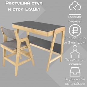 Комплект растущий стол и стул с чехлом 38 попугаев «Вуди» (Серый, Без покрытия, Серый) в Губкинском - gubkinskiy.ok-mebel.com | фото