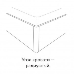 Кровать "Наоми" БЕЗ основания 1600х2000 в Губкинском - gubkinskiy.ok-mebel.com | фото 3