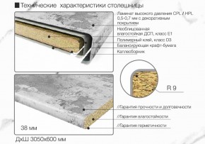 Кухонный фартук со столешницей (А-011) в едином стиле (3050 мм) в Губкинском - gubkinskiy.ok-mebel.com | фото 6