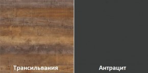Кухонный гарнитур угловой Трансильвания 2600х1600 мм (Стол. 38 мм) в Губкинском - gubkinskiy.ok-mebel.com | фото 3