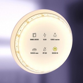 Лента светодиодная Maytoni Led strip 10114 в Губкинском - gubkinskiy.ok-mebel.com | фото 2