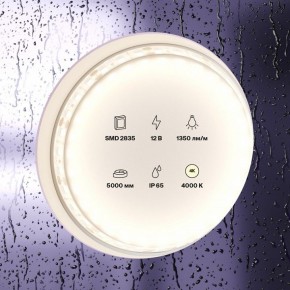 Лента светодиодная Maytoni Led strip 10118 в Губкинском - gubkinskiy.ok-mebel.com | фото 2