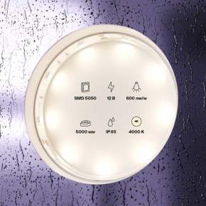 Лента светодиодная Maytoni Led strip 10124 в Губкинском - gubkinskiy.ok-mebel.com | фото 3