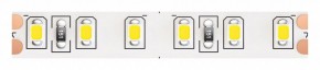Лента светодиодная Maytoni Led strip 10144 в Губкинском - gubkinskiy.ok-mebel.com | фото