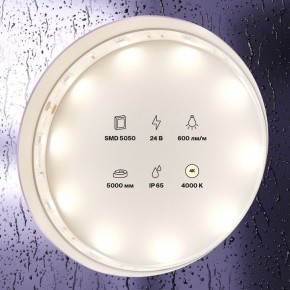 Лента светодиодная Maytoni Led strip 10164 в Губкинском - gubkinskiy.ok-mebel.com | фото 2