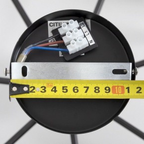 Люстра на штанге Citilux Стивен CL141271 в Губкинском - gubkinskiy.ok-mebel.com | фото 13