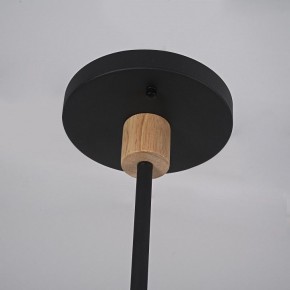 Люстра на штанге Imperiumloft TURNA Black TURNA-DBL01 в Губкинском - gubkinskiy.ok-mebel.com | фото 9