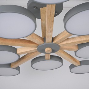 Люстра на штанге Imperiumloft TURNA Gray TURNA-B01 в Губкинском - gubkinskiy.ok-mebel.com | фото 10