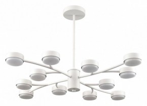 Люстра на штанге Lumion TORINA 8265/12 в Губкинском - gubkinskiy.ok-mebel.com | фото