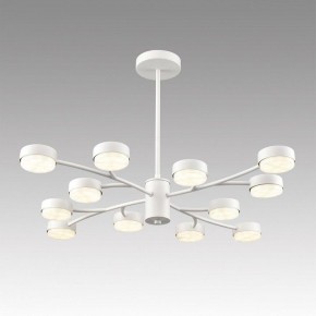 Люстра на штанге Lumion TORINA 8265/12 в Губкинском - gubkinskiy.ok-mebel.com | фото 3
