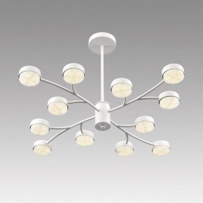 Люстра на штанге Lumion TORINA 8265/12 в Губкинском - gubkinskiy.ok-mebel.com | фото 5