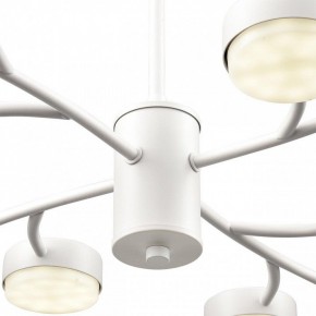 Люстра на штанге Lumion TORINA 8265/12 в Губкинском - gubkinskiy.ok-mebel.com | фото 8
