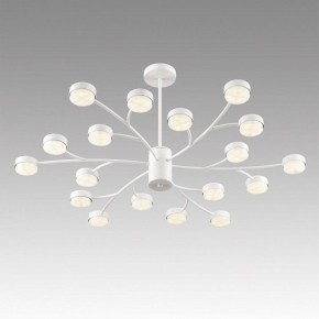 Люстра на штанге Lumion TORINA 8265/18 в Губкинском - gubkinskiy.ok-mebel.com | фото 5
