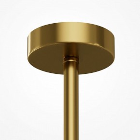 Люстра на штанге Maytoni Museo MOD436PL-05BS в Губкинском - gubkinskiy.ok-mebel.com | фото 6